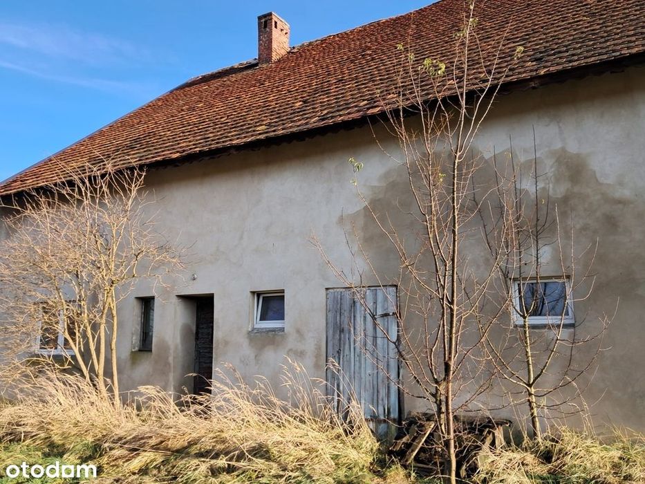 Na sprzedaż budynek po stadninie koni Milicz