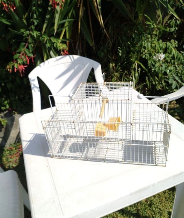 2 Gaiolas Artesanais para Armar