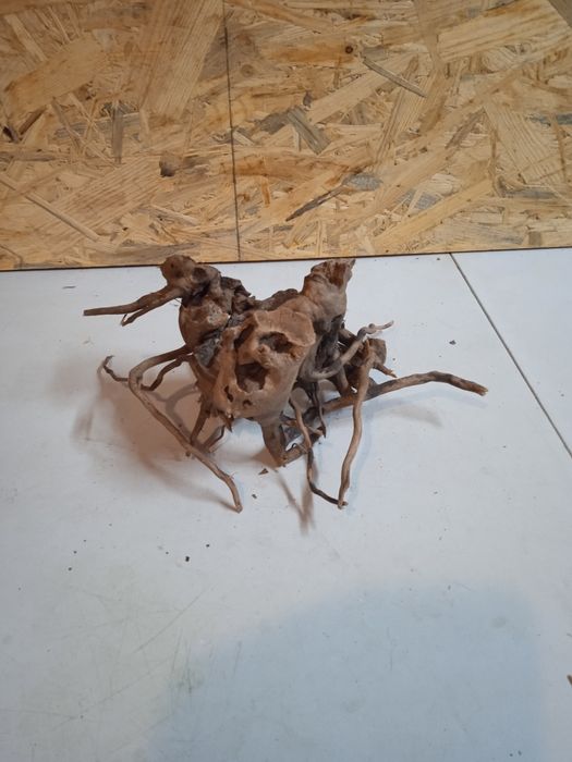 Korzeń do akwarium Red Moore Wood nr 69 o wymiarach 25/20/15