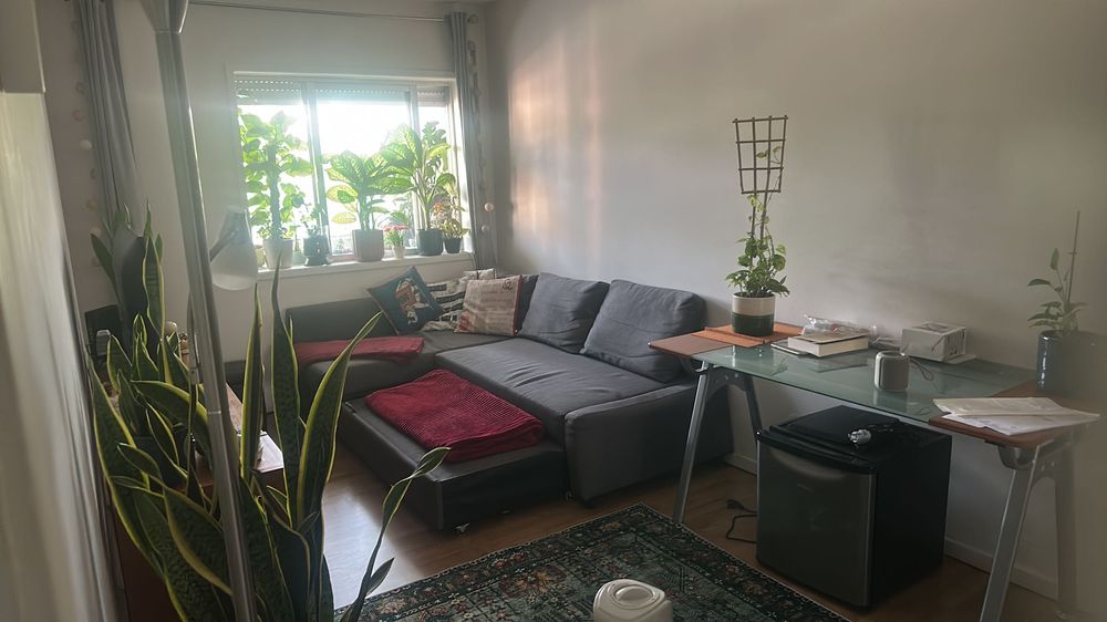 Dividir apartamento