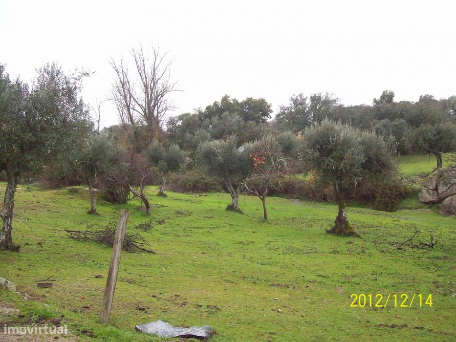 Herdade do Monte da Pedra.