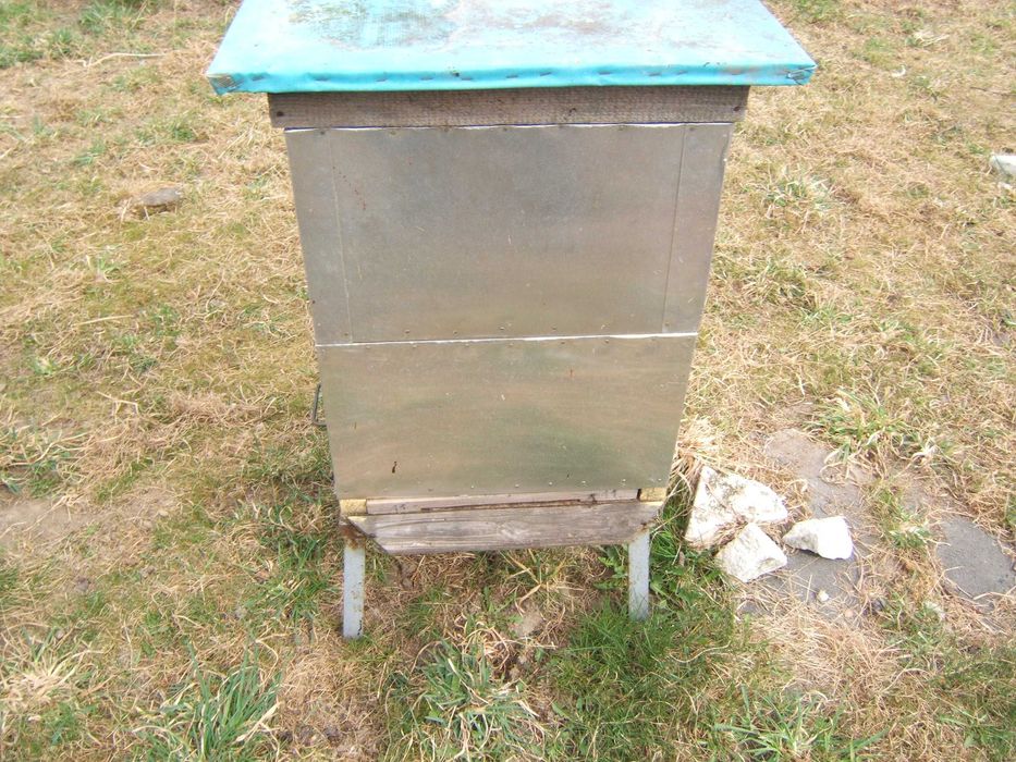 Sprzedam rodziny pszczele-ramka wielkopolska