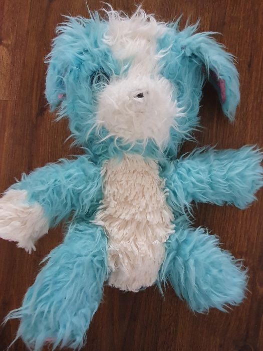 Pies piesek niebiesko biały z długą sierścią wydaje dźwięk szczekania