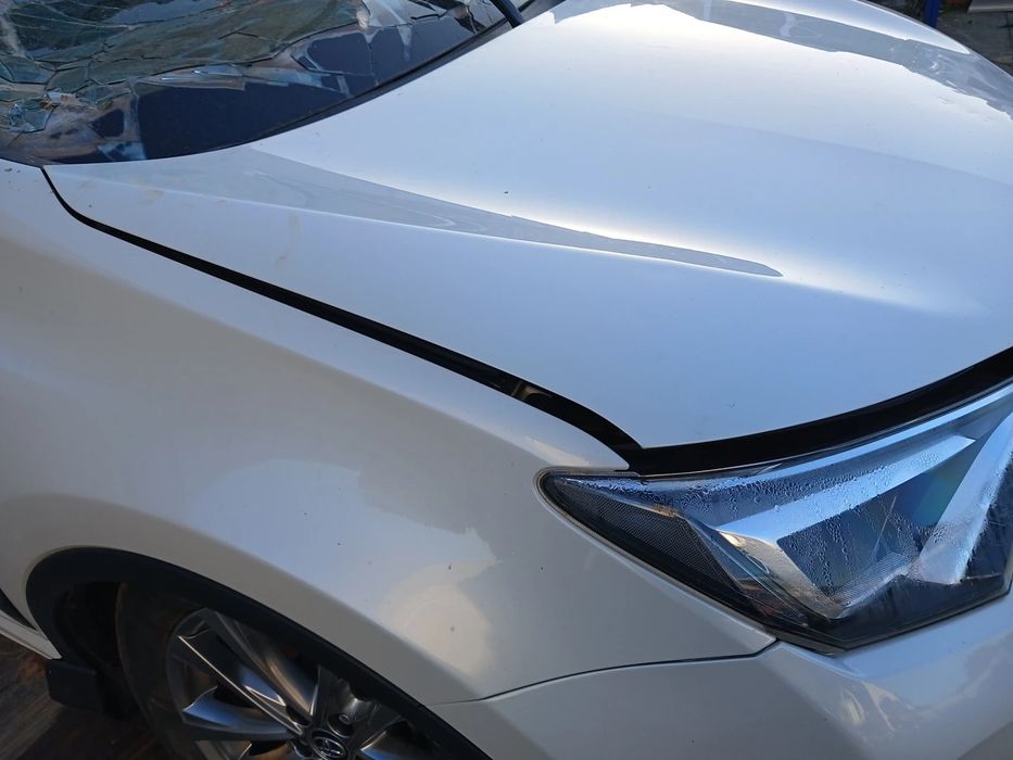 Capot TOYOTA RAV4 IV (_A4_)