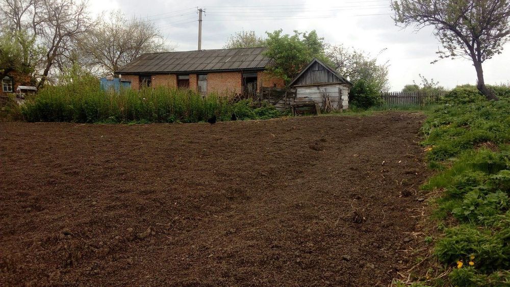 Продається будинок з земельною ділянкою