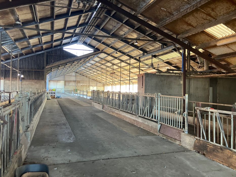 Obora budynek inwentarski 150szt ruszta konstrukcja stalowa  20x67