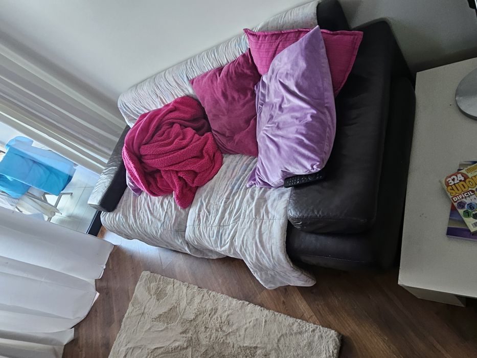 Sofas de pele com apoio