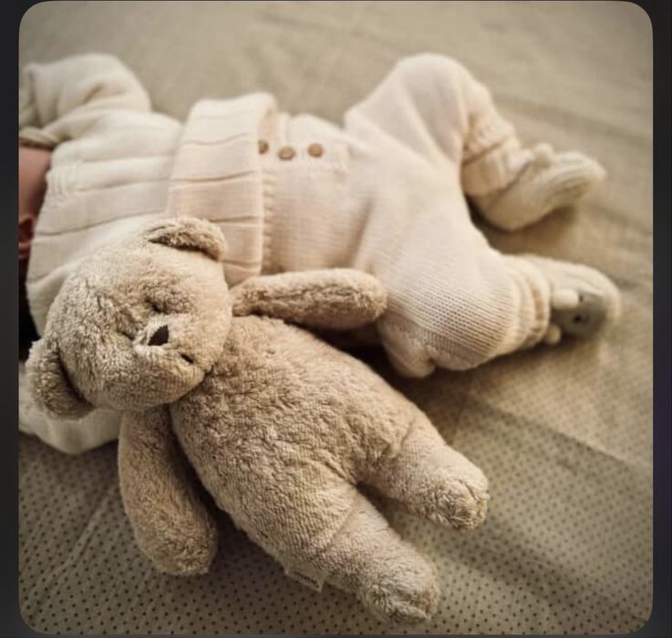 Співаючі іграшки  MOONIE ORGANIC