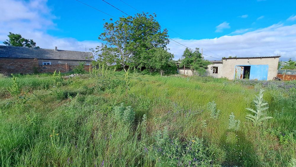 Ділянка 34 сот. в Коблево з будівлями