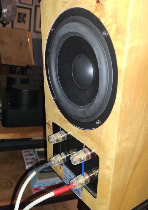 Kolumny Monitory - Mistral Bow 3