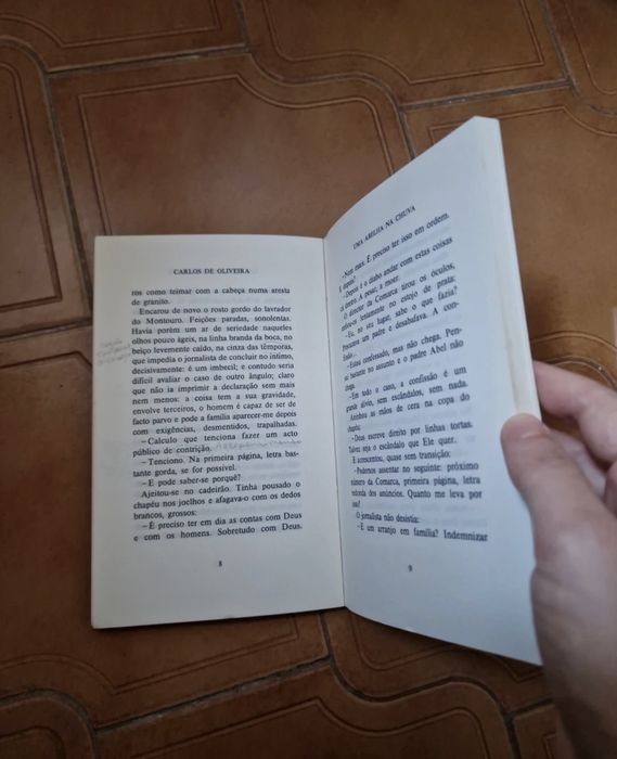 Livro Uma Abelha na chuva