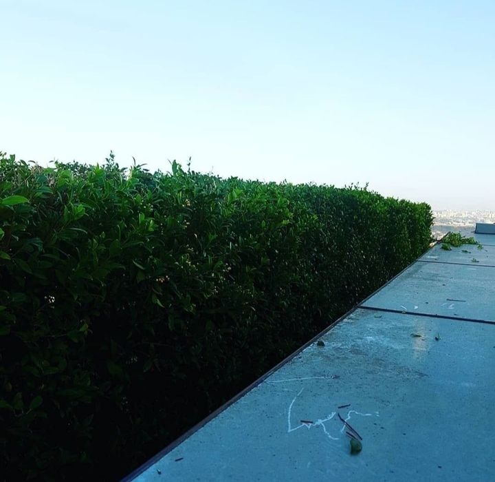 Construção e Manutenção de Jardins & Espaços Verdes