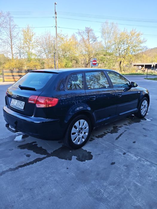 Audi A3 8P, 1.6 benzyna