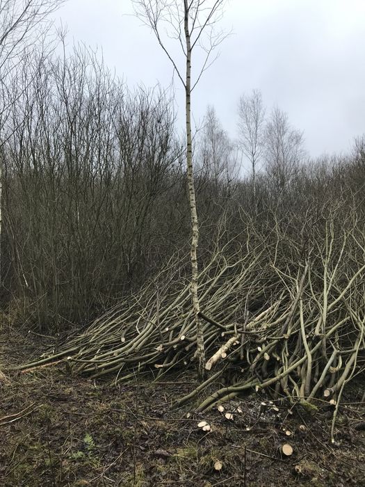 Gałęzie do rębaka