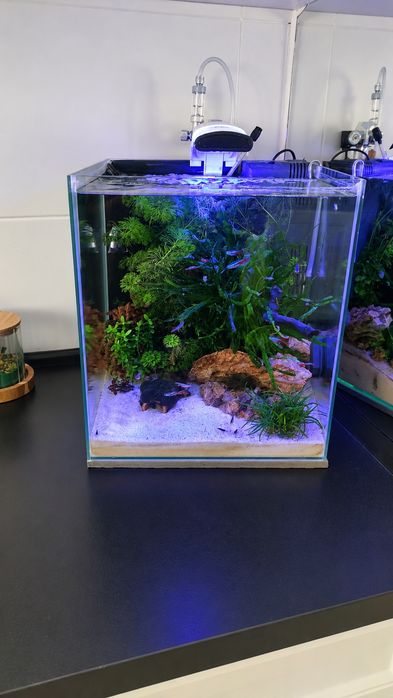 Lampa Aquael  10W