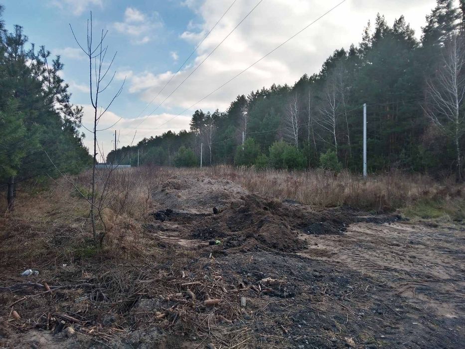 Продам земельну ділянку біля лісу