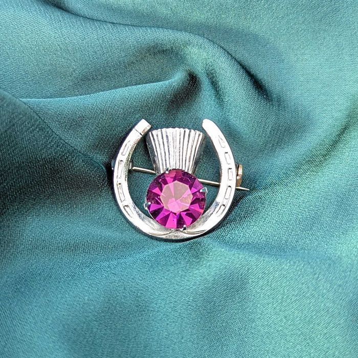 Вінтажна брошка-амулет "Підкова з чортополохом"