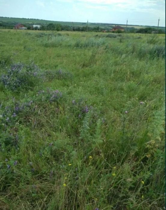 Продам дачный участок 12 соток в с.Сурско-Литовское