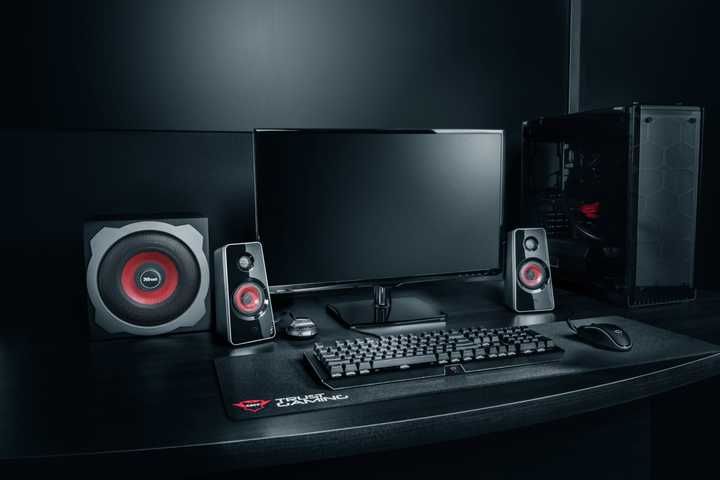 System akustyczny Trust GXT