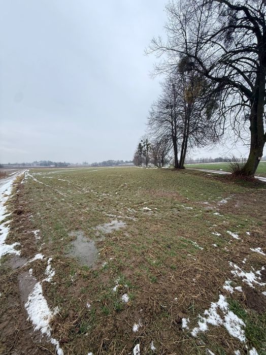 Działka 1,12ha rolno-zagrodowa Płonki k. Kurowa woj. lubelskie