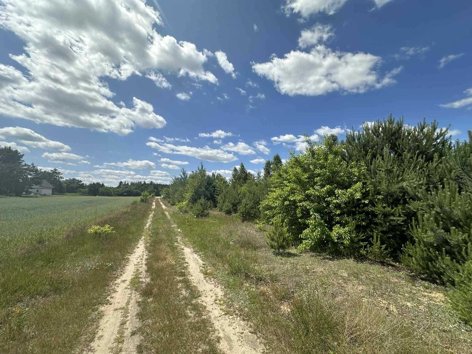 Na sprzedaż działka budowlana - Widok 5