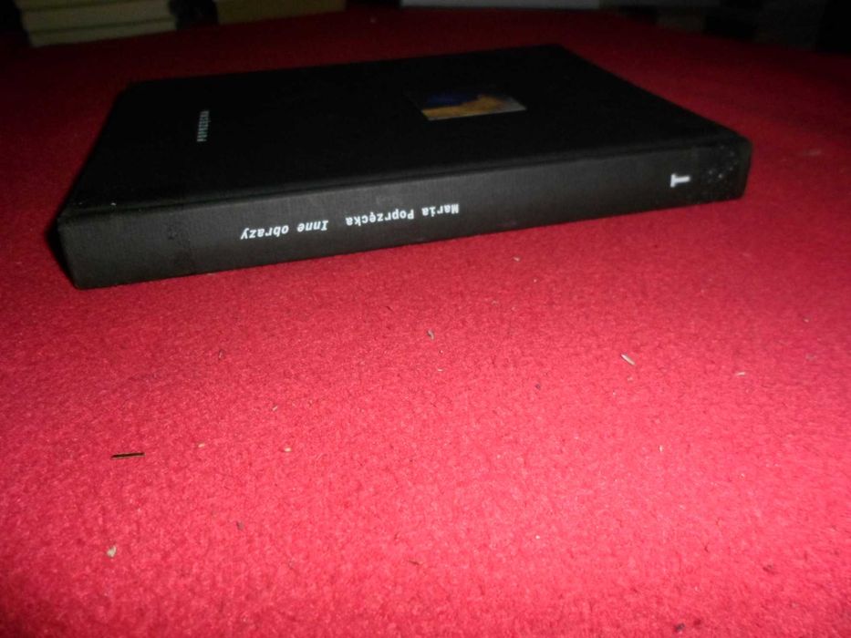 Maria Poprzęcka - Inne obrazy : oko, widzenie, sztuka : od Albertiego