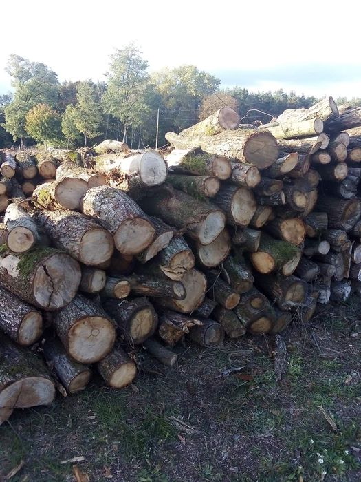 Drewno opałowe suche