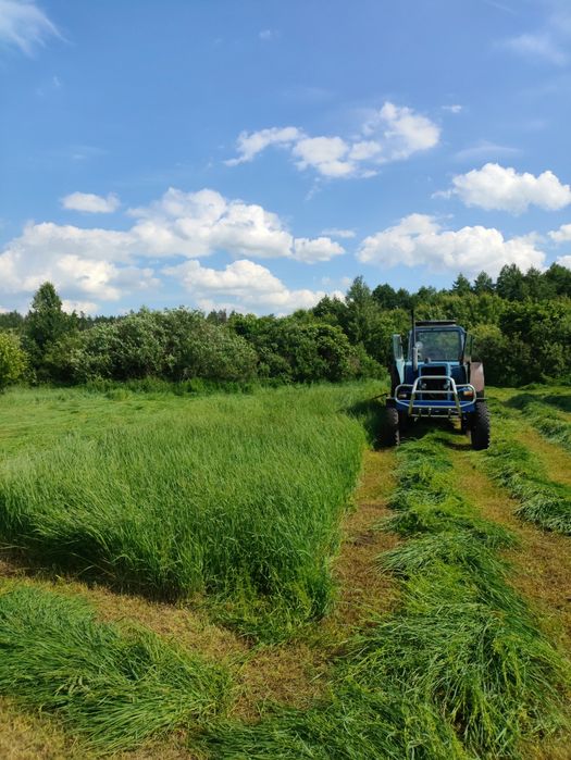Сіно  Лугове Продам