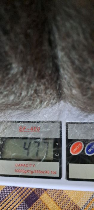 Пухова хустина оренбурзька