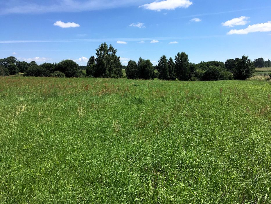 Działki nad jeziorem Dadaj (2ha)
