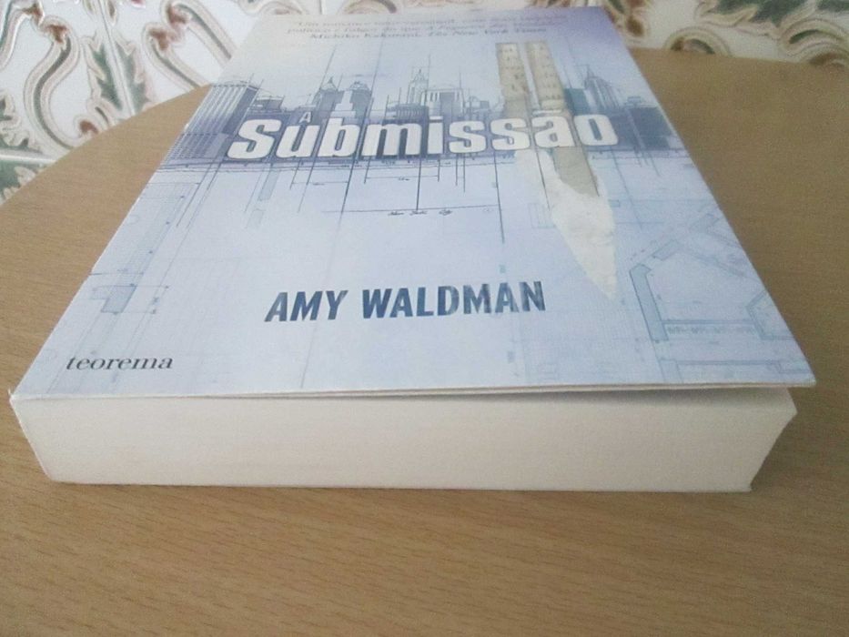 Submissão de Amy Waldman