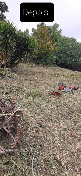 Serviços jardinagem