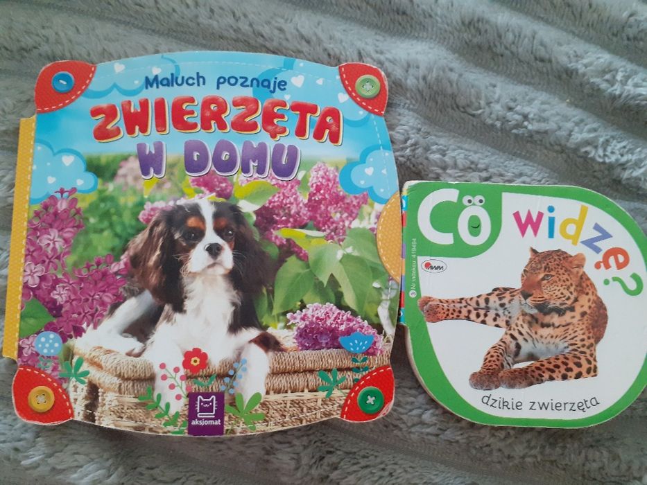 2 książeczki sla dzieci zwierzęta
