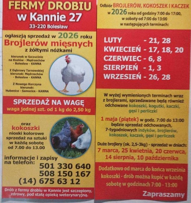 Ferma Drobiu w Kannej 27 - Sprzedaż Brojlerów 2026