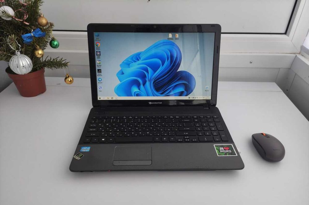 Ноутбук Packard Bell EasyNote TS (P5WS0)
