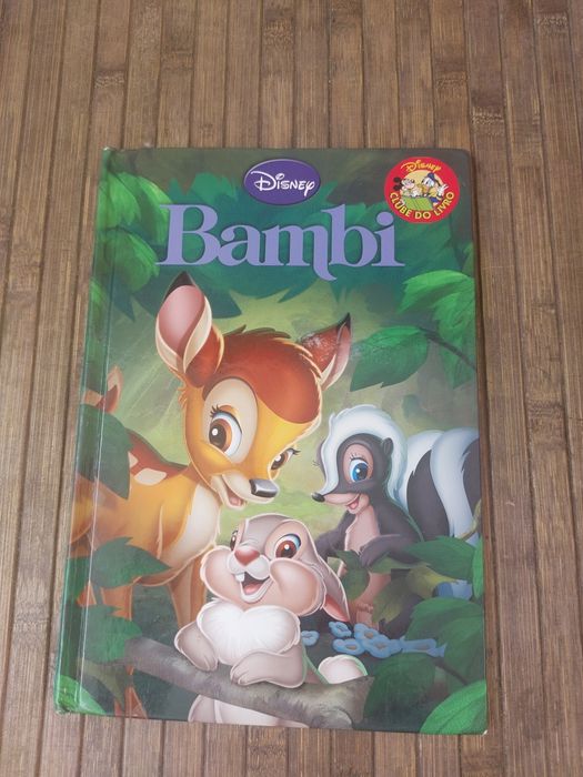 Vários livros para criança