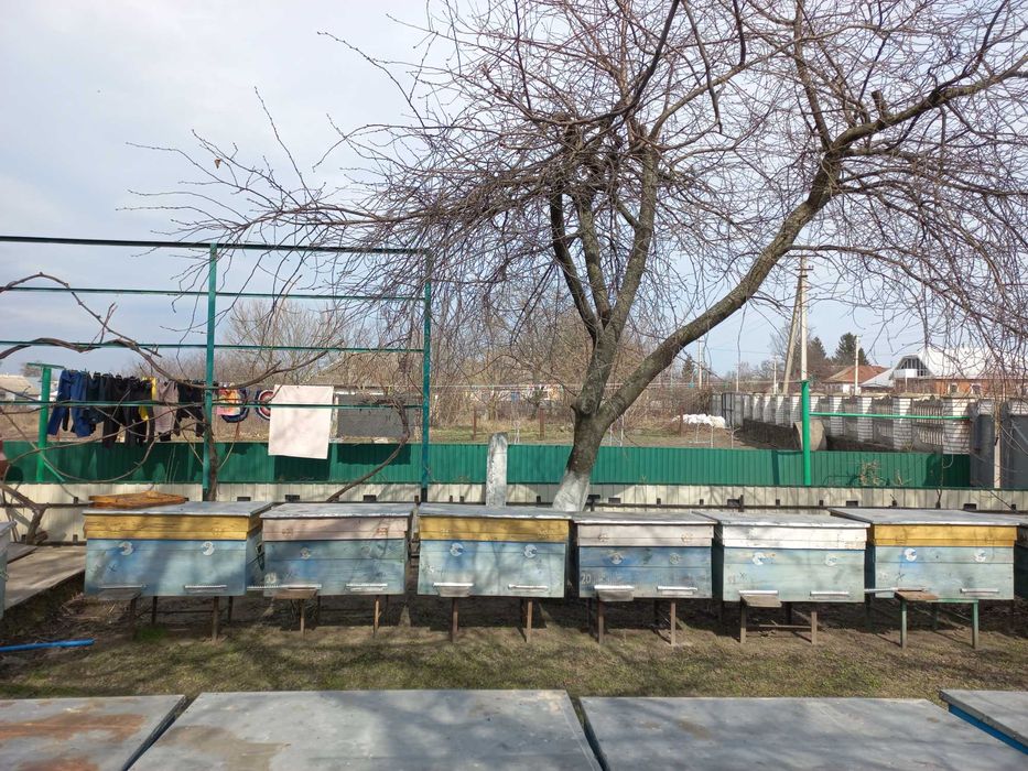 Продам 20 вуликів