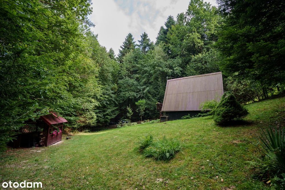 Dom – Glinik Zaborowski - Widok 3