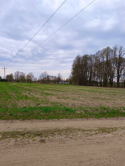 Działka budowlana 3275 m² | blisko Warty | strumyk | Mierzyn - Ansicht 5