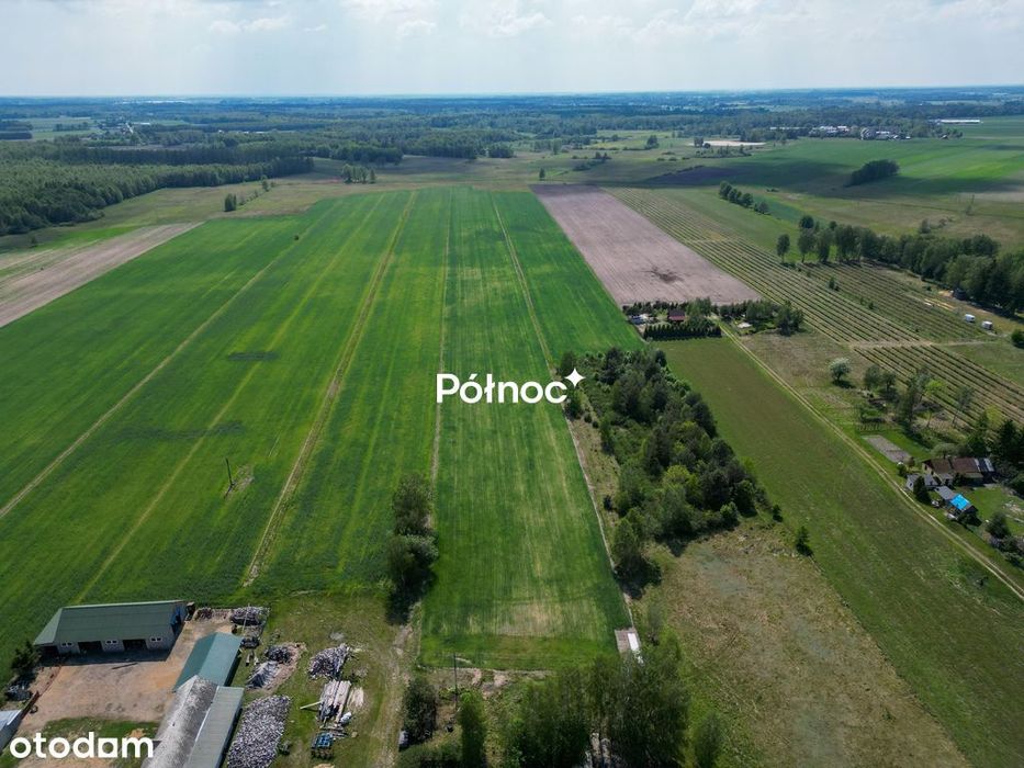 4 działki z warunkami zabudowy - Witoroż