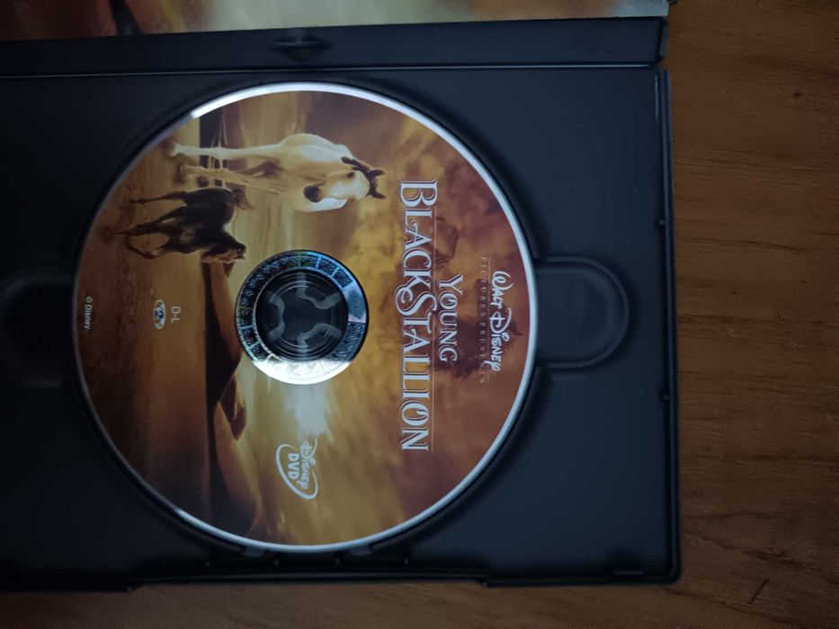 filme dvd original - o jovem cavalo negro