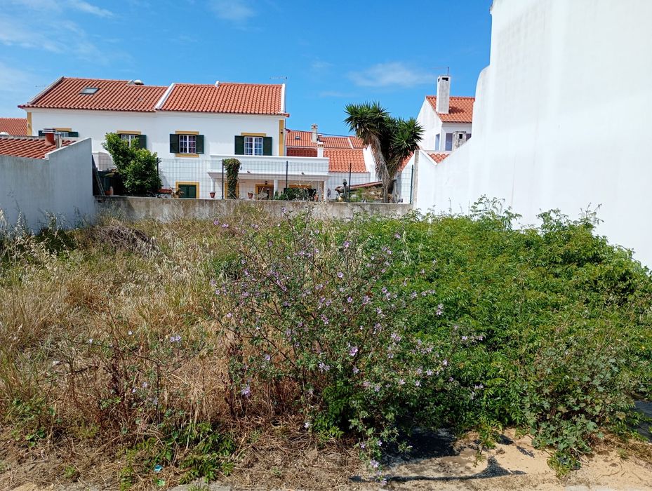 Limpeza de Terrenos e Quintas | O Moço do Laré