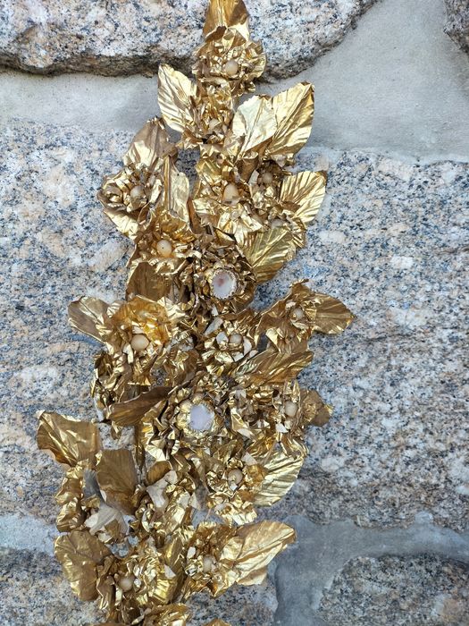 Palmito Viana Castelo