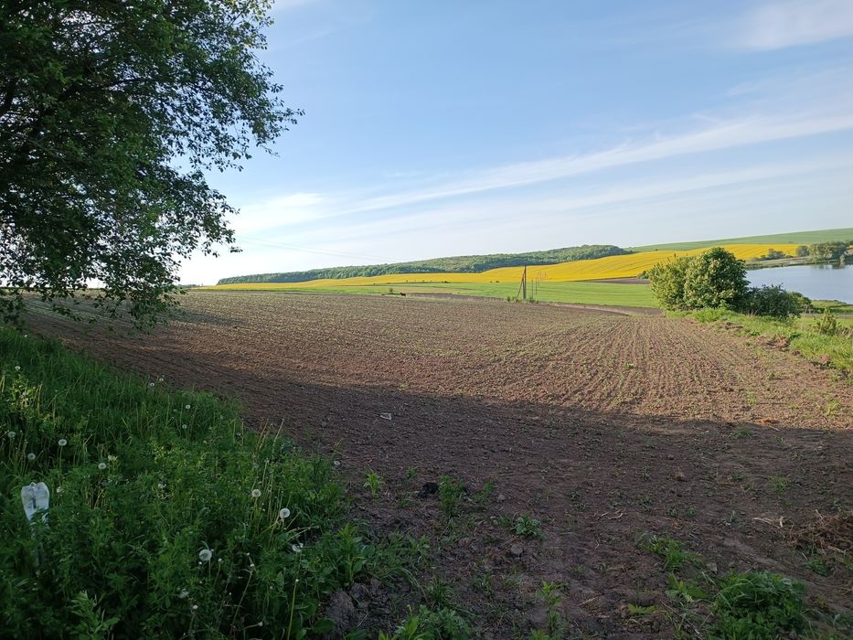 Продаж земелих ділянки під будівництво, с. Радів, Дубенський р-н

Пр