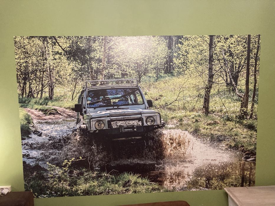 Fototapeta jeep w lesie