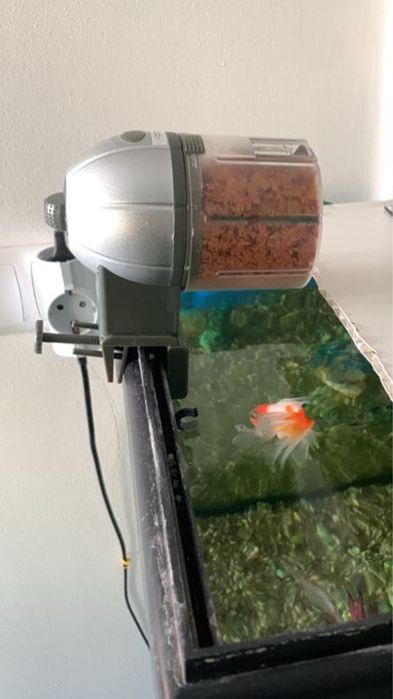 Aquario 200L e bomba enhein nova