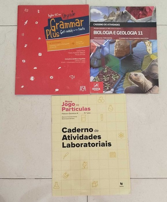 Cadernos de atividades 11º Ano