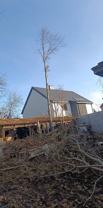 Wycinka drzew, karczowanie i sprzątanie działek