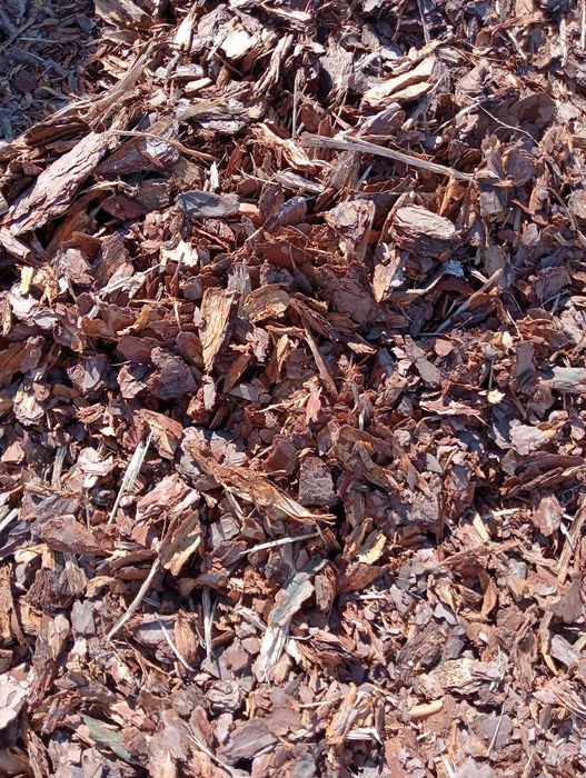 Kora sosnowa,kora 80L Syców,Oleśnica,Twardogóra,Birutów,Namysłów,