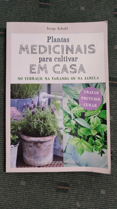 Plantas Medicinais para cultivar em Casa no terraço, varanda ou janela